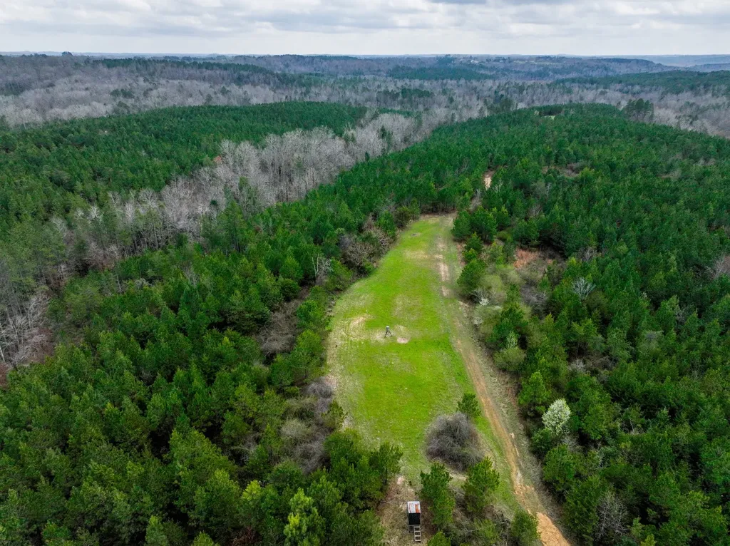 0 County Road 405 Haleyville AL 35565