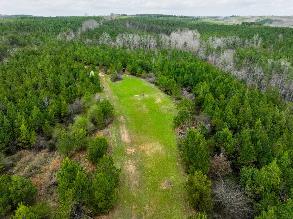 0 County Road 405 Haleyville AL 35565