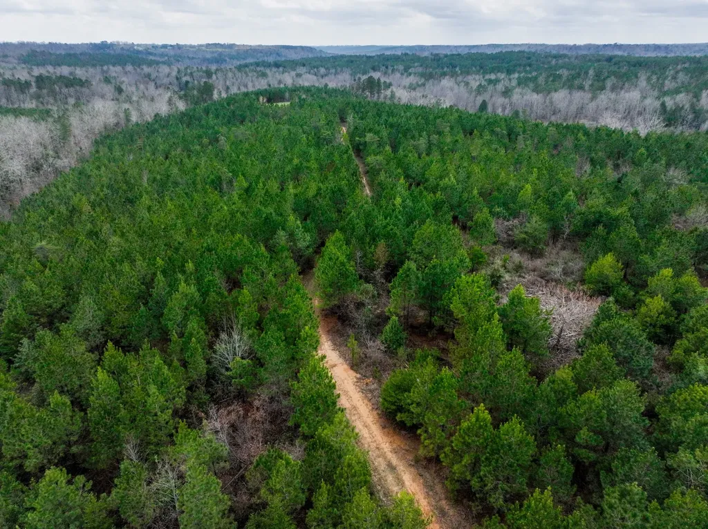 0 County Road 405 Haleyville AL 35565