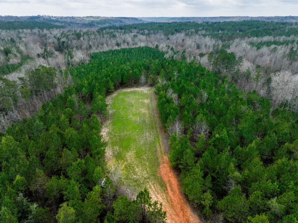 0 County Road 405 Haleyville AL 35565