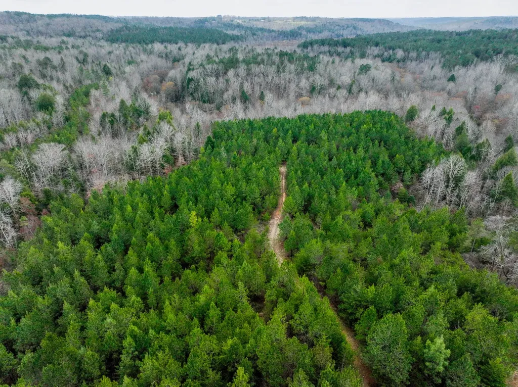 0 County Road 405 Haleyville AL 35565