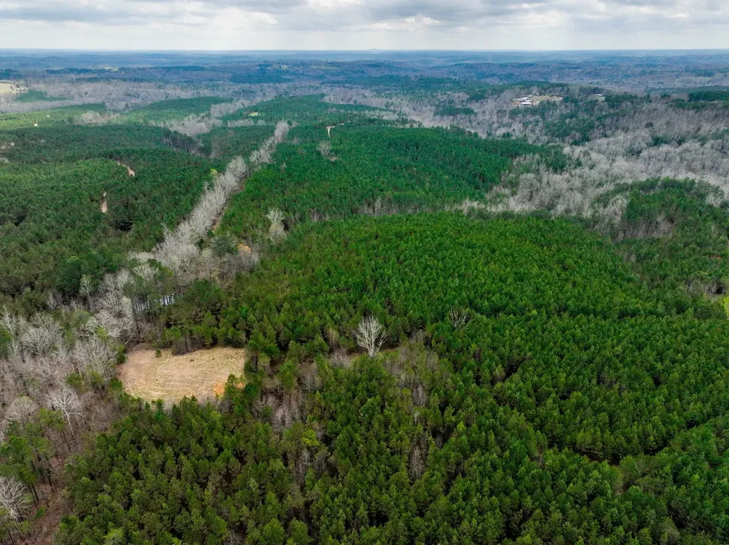 0 County Road 405 Haleyville AL 35565