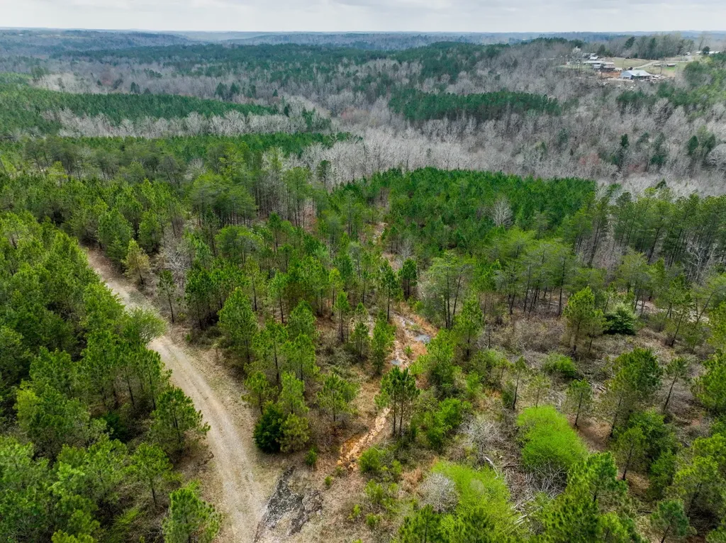 0 County Road 405 Haleyville AL 35565