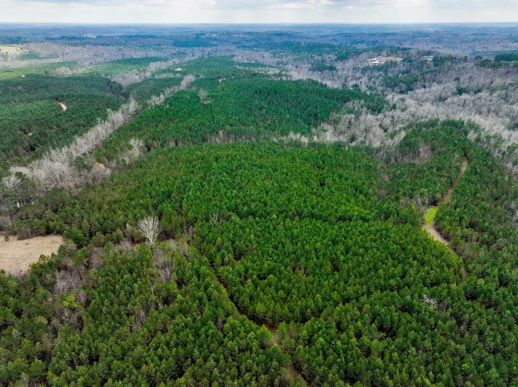 0 County Road 405 Haleyville AL 35565