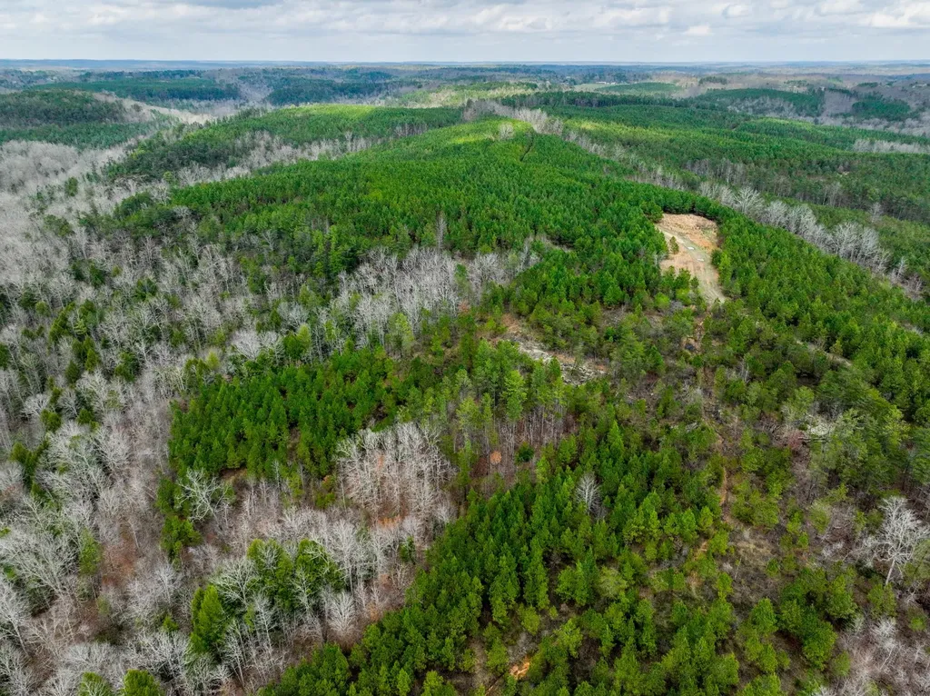 0 County Road 405 Haleyville AL 35565