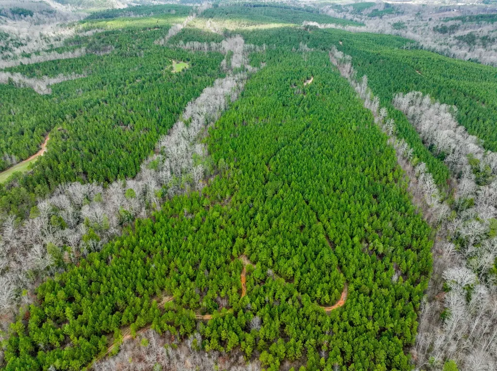 0 County Road 405 Haleyville AL 35565