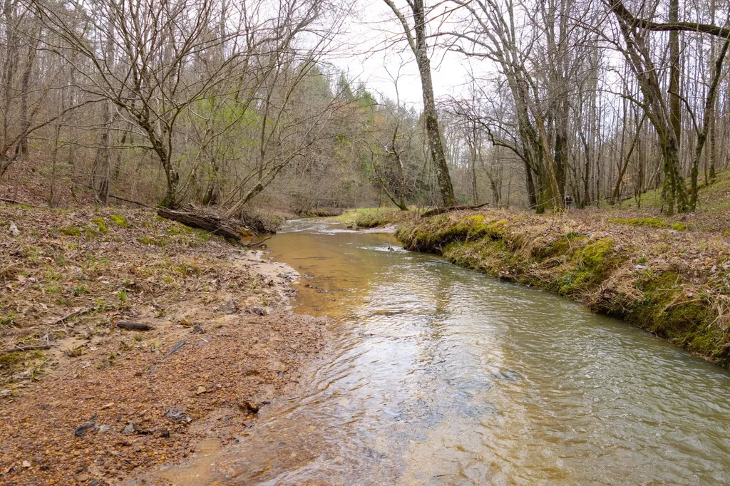 0 County Road 405 Haleyville AL 35565
