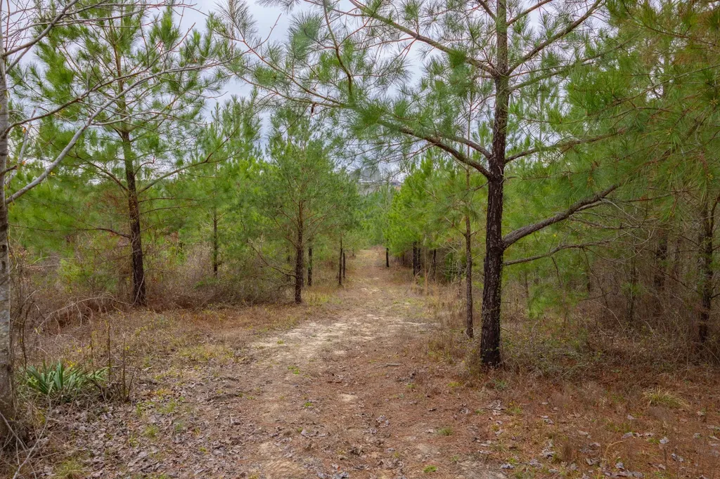 0 County Road 405 Haleyville AL 35565