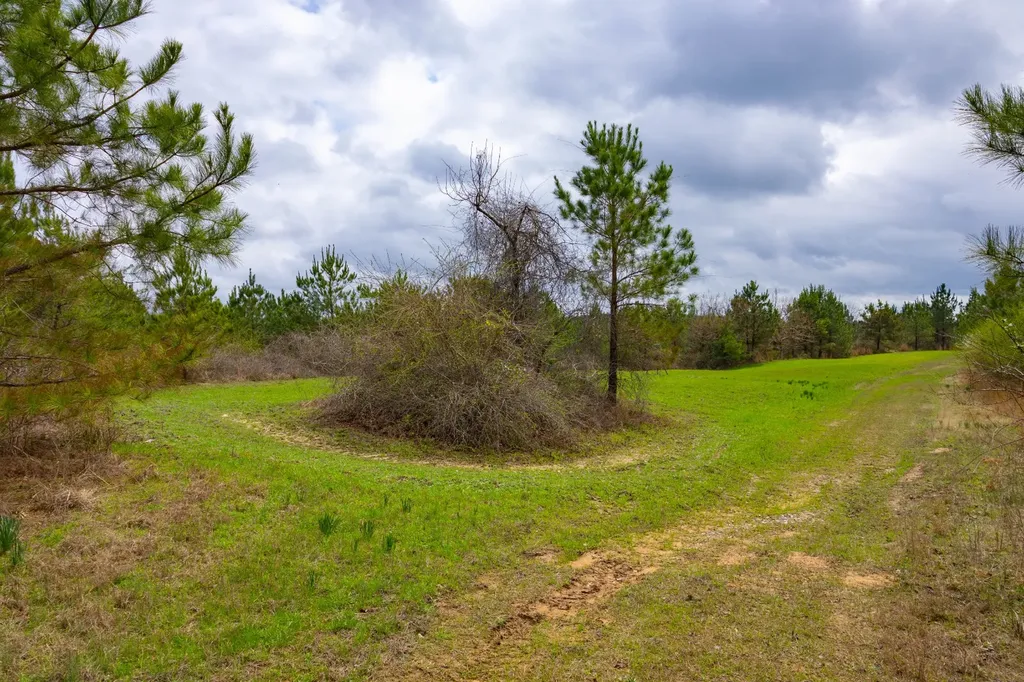 0 County Road 405 Haleyville AL 35565
