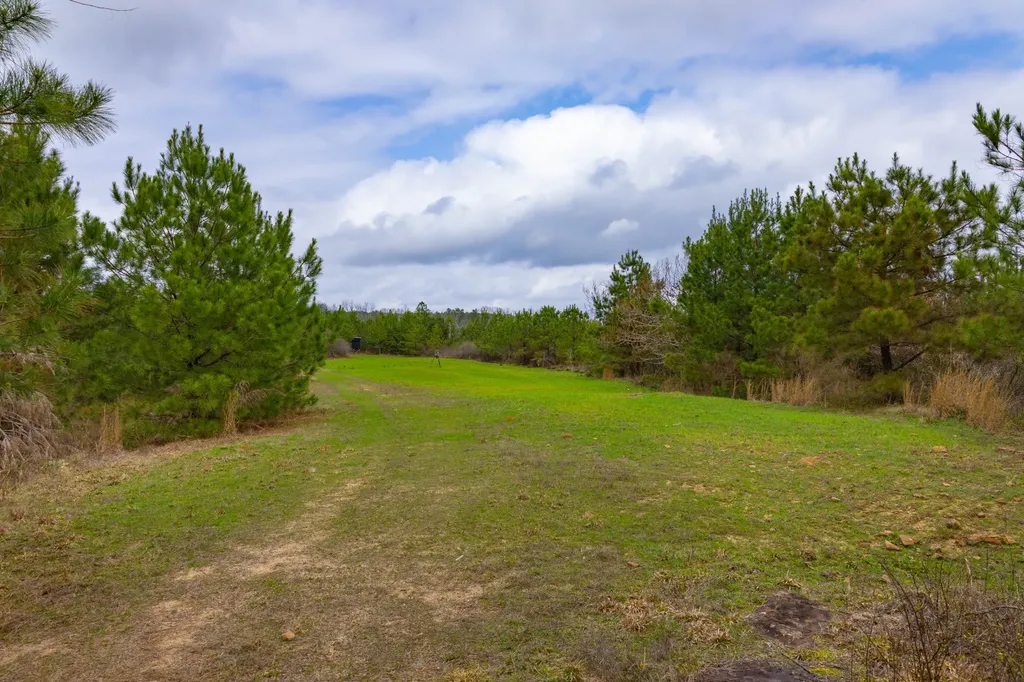 0 County Road 405 Haleyville AL 35565
