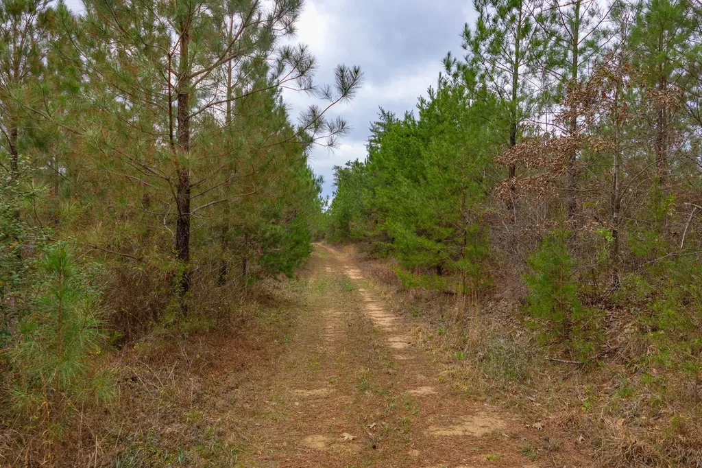 0 County Road 405 Haleyville AL 35565