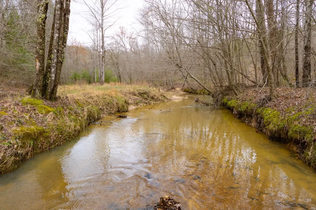 0 County Road 3217 Haleyville AL 35565