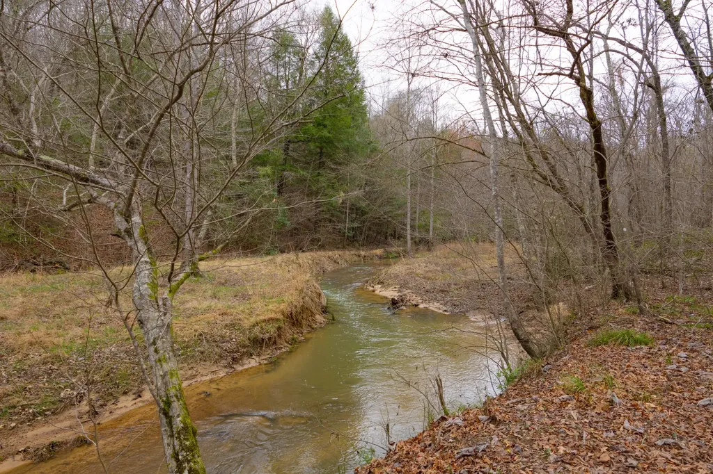 0 County Road 3217 Haleyville AL 35565