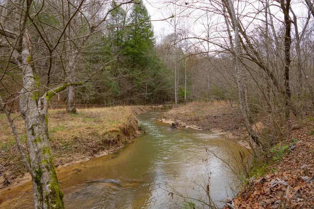 0 County Road 3217 Haleyville AL 35565