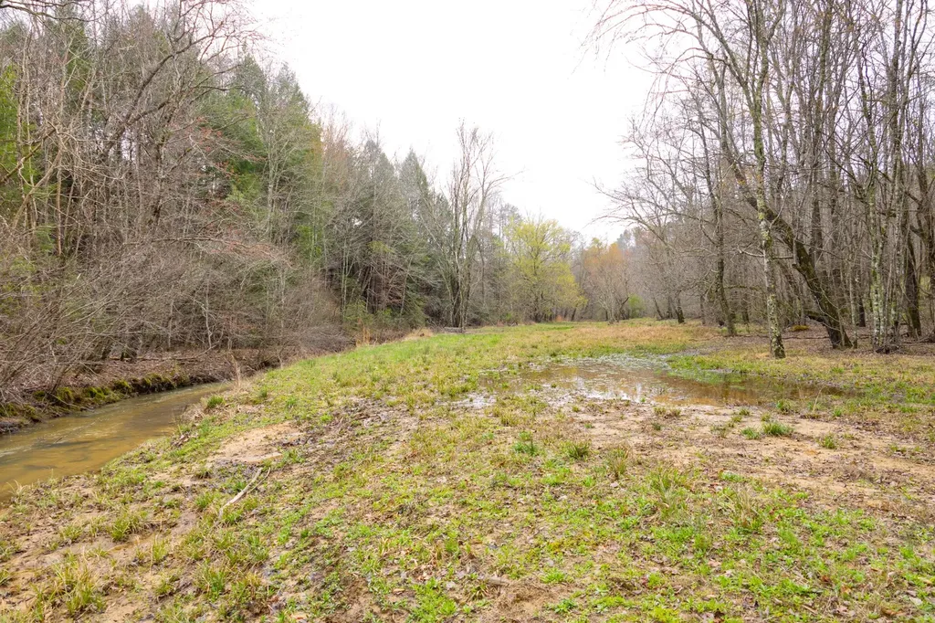 0 County Road 3217 Haleyville AL 35565