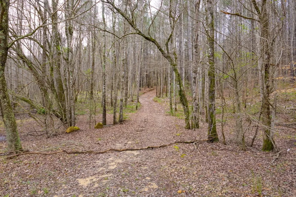 0 County Road 3217 Haleyville AL 35565