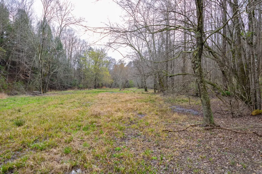 0 County Road 3217 Haleyville AL 35565