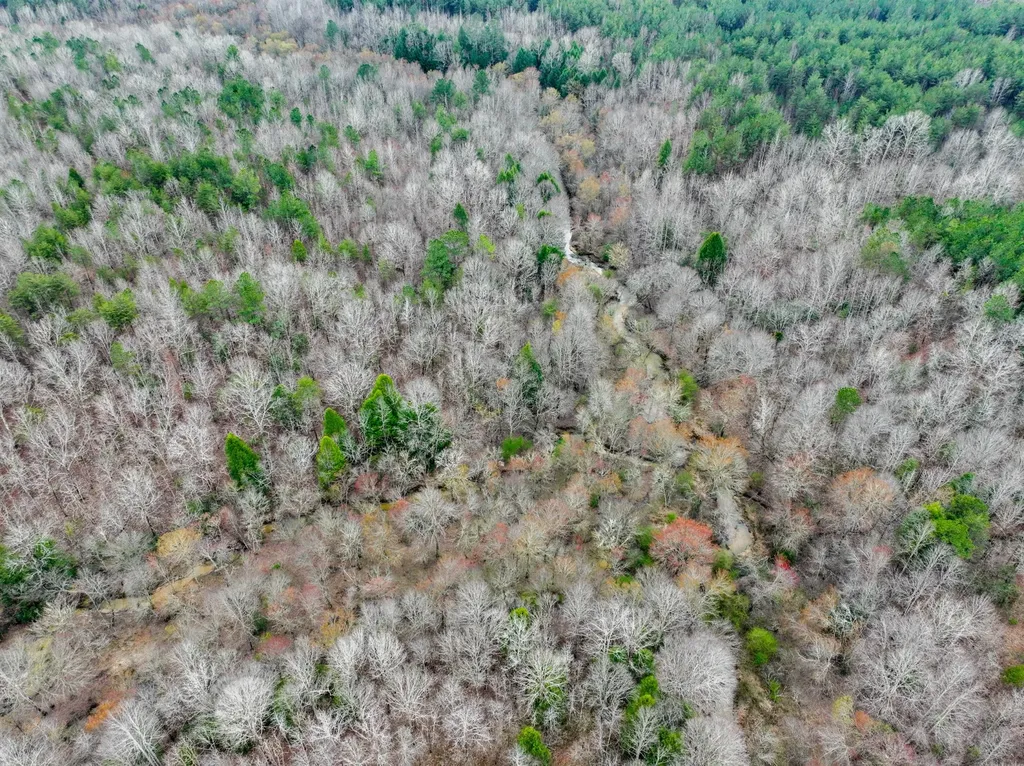 0 County Road 3217 Haleyville AL 35565