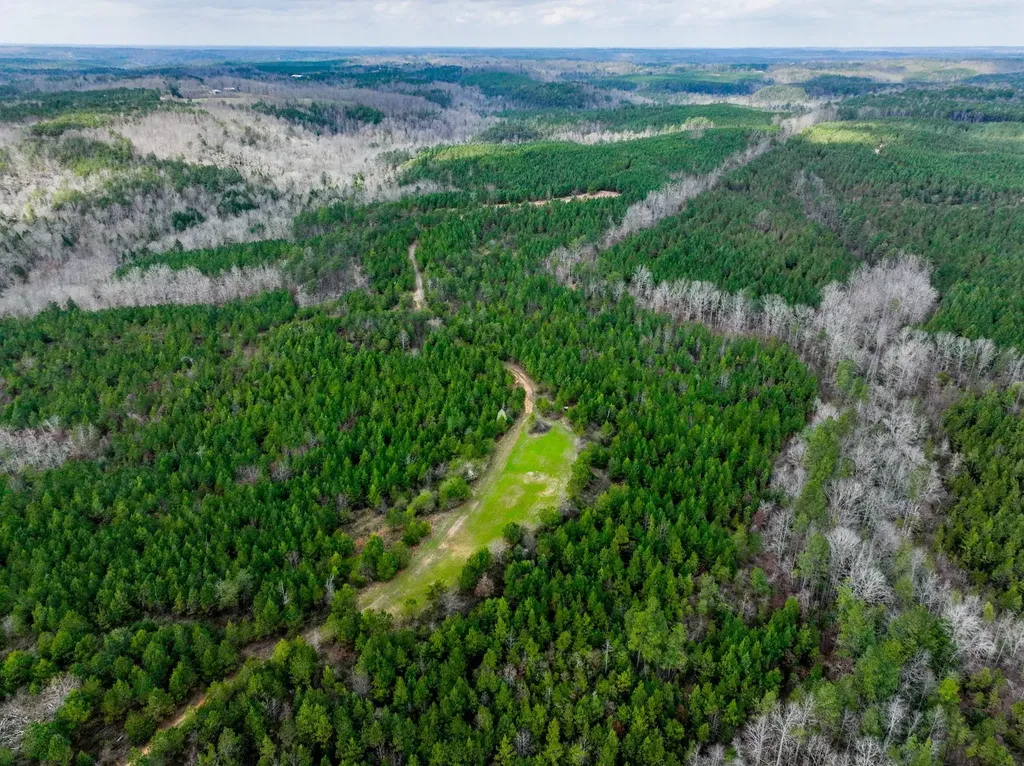 0 County Road 3217 Haleyville AL 35565