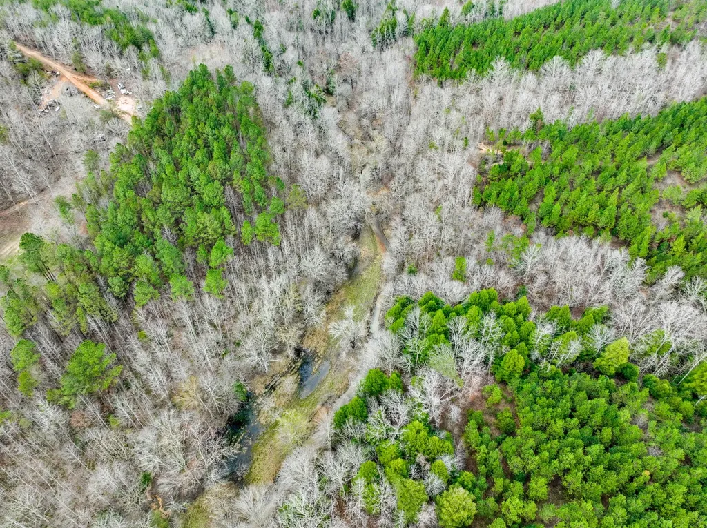 0 County Road 3217 Haleyville AL 35565