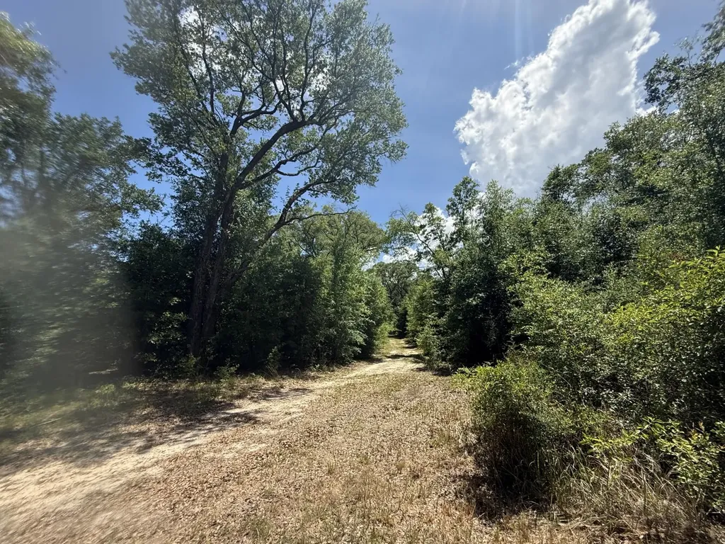 0 Wolfridge Road Mobile AL 36618