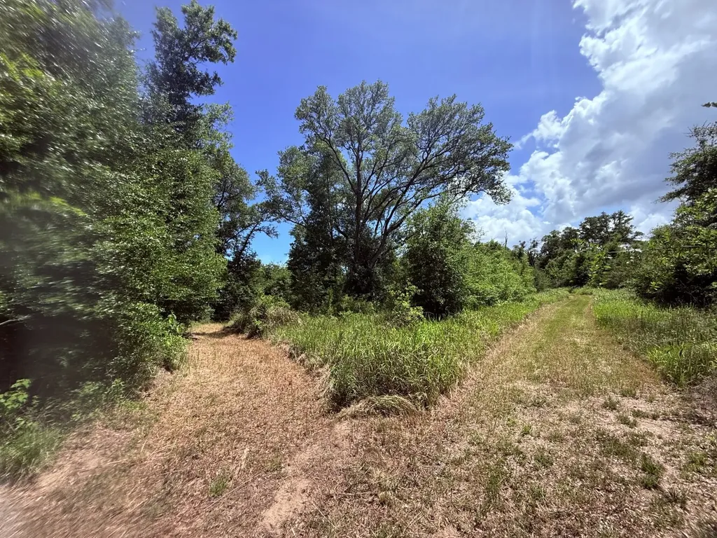 0 Wolfridge Road Mobile AL 36618