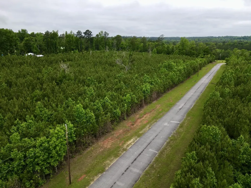 0 Echo Ridge Road Jackson AL 36545