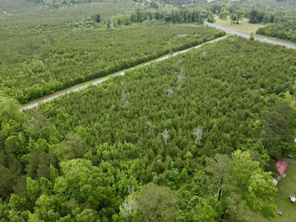0 Echo Ridge Road 1 Jackson AL 36545