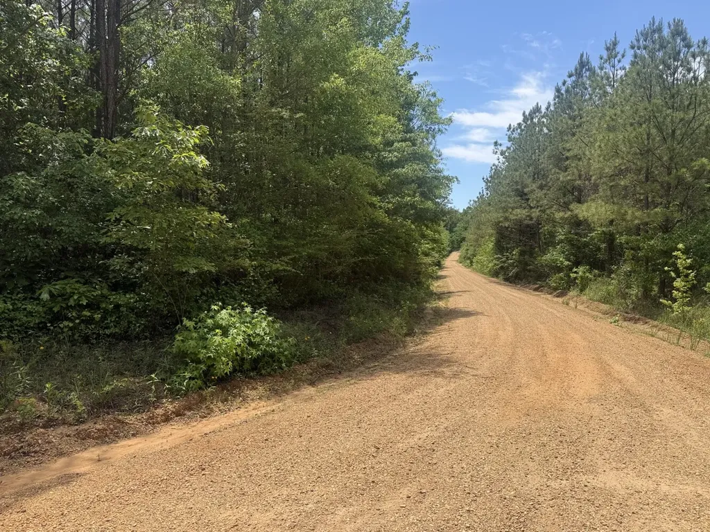 0 Cash Circle Millport AL 35576