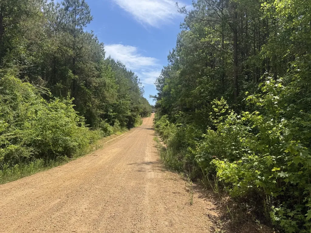 0 Cash Circle Millport AL 35576