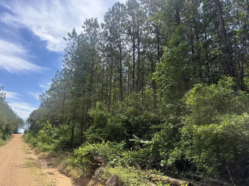 0 Cash Circle Millport AL 35576