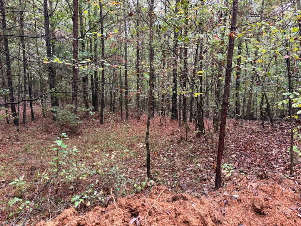 0 County Road 66 Eldridge AL 35554