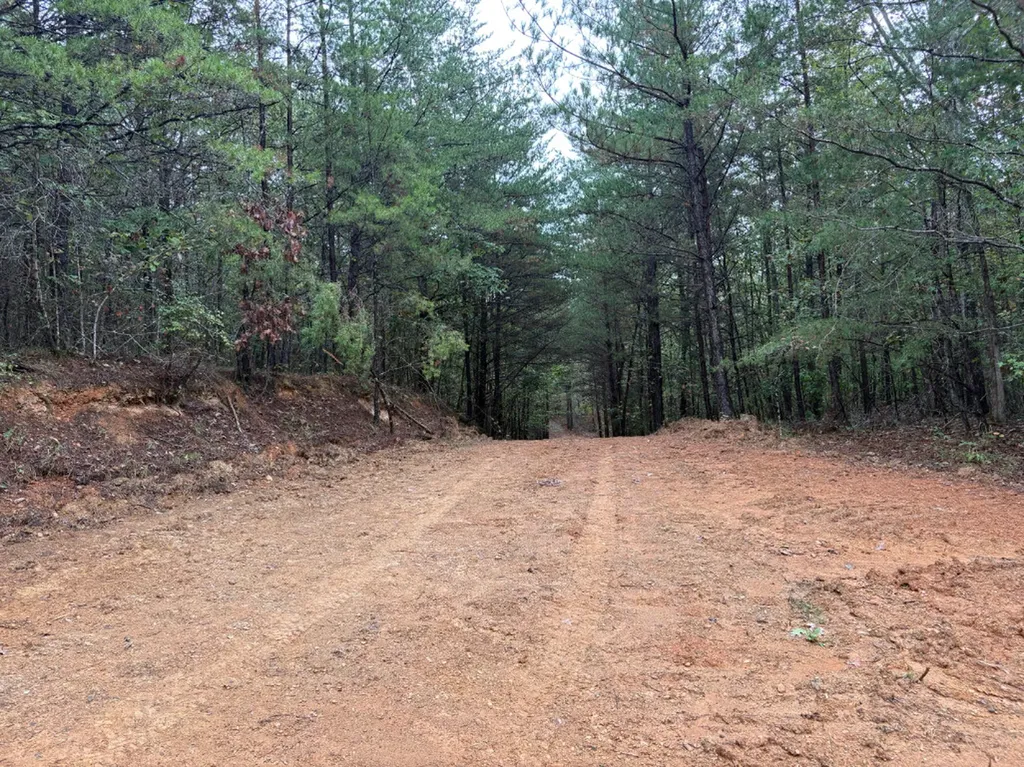 0 County Road 66 Eldridge AL 35554