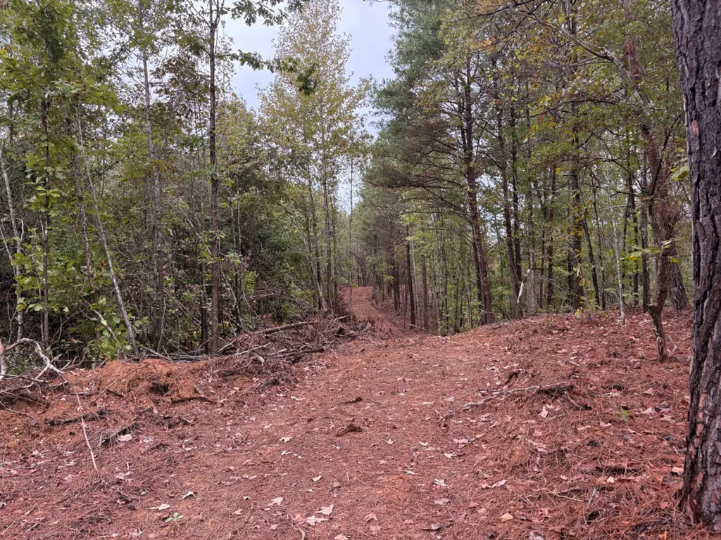 0 County Road 66 Eldridge AL 35554