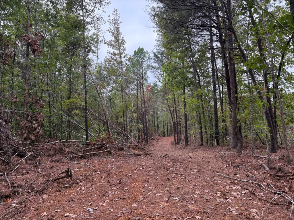 0 County Road 66 Eldridge AL 35554