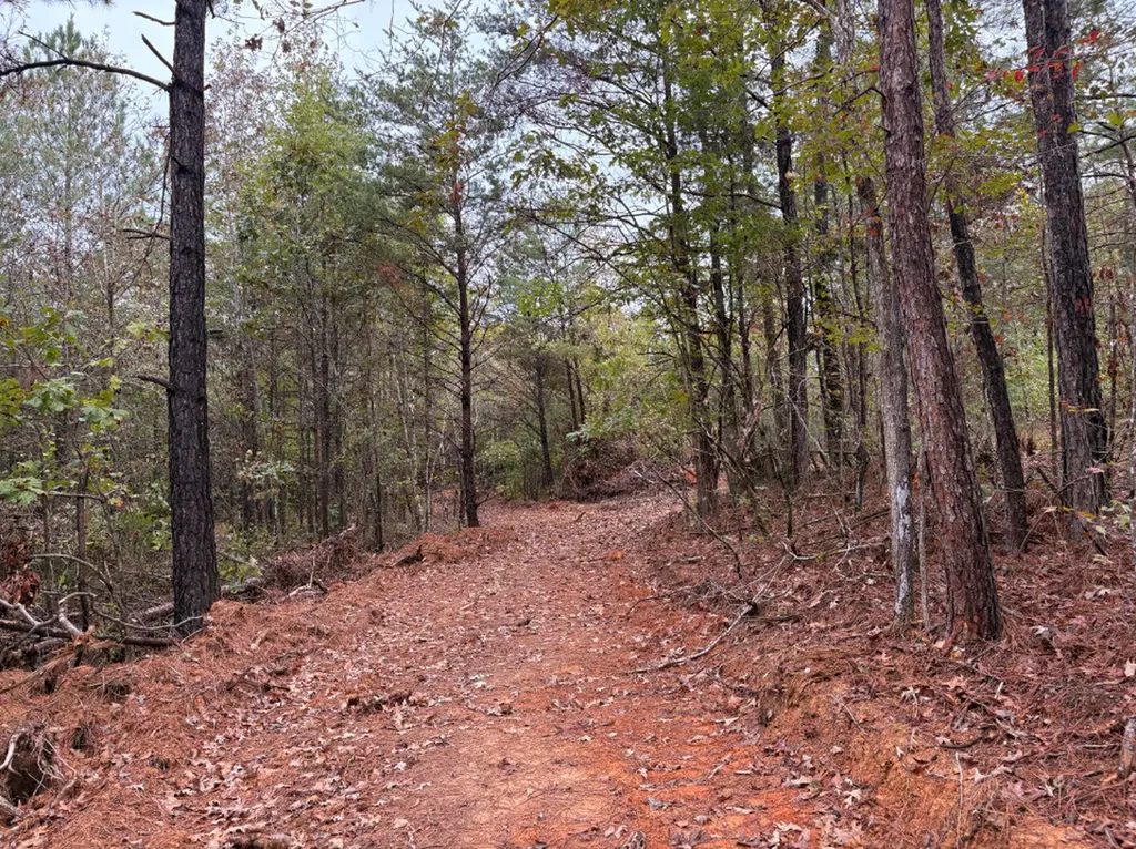 0 County Road 66 Eldridge AL 35554