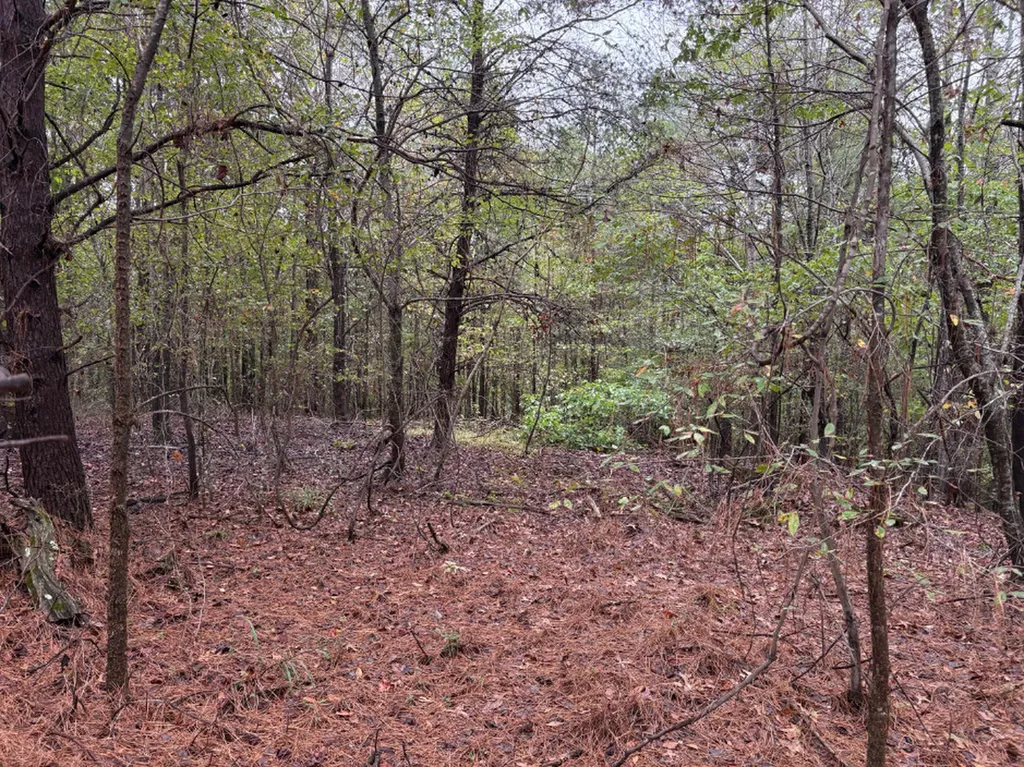 0 County Road 66 Eldridge AL 35554