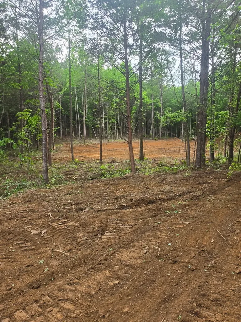 0 County Road 66 Eldridge AL 35554