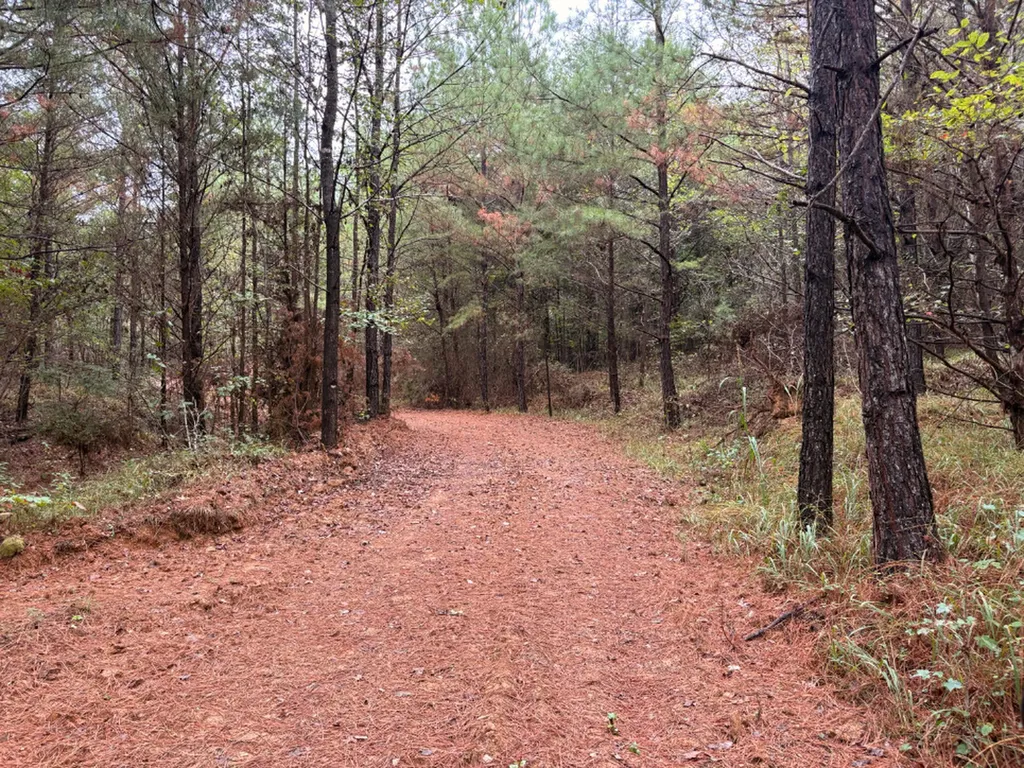 0 County Road 66 Eldridge AL 35554