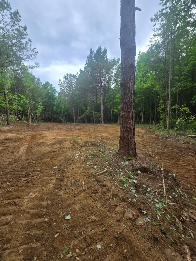 0 County Road 66 Eldridge AL 35554