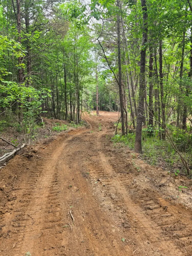 0 County Road 66 Eldridge AL 35554