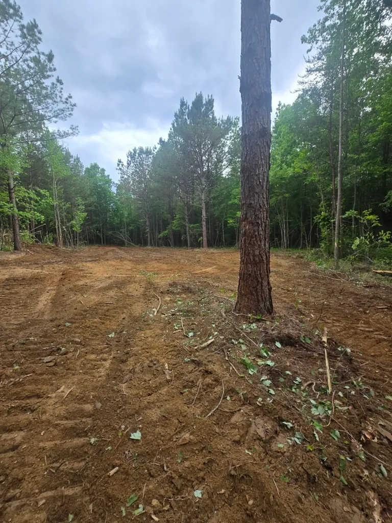 0 County Road 66 Eldridge AL 35554