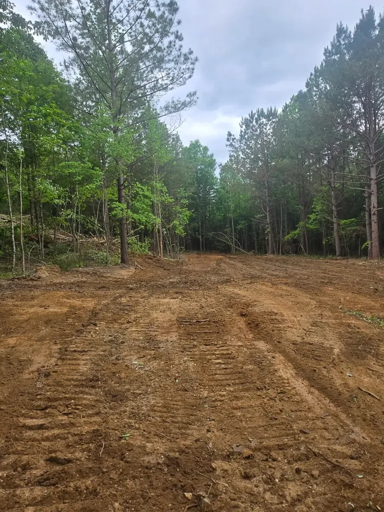 0 County Road 66 Eldridge AL 35554