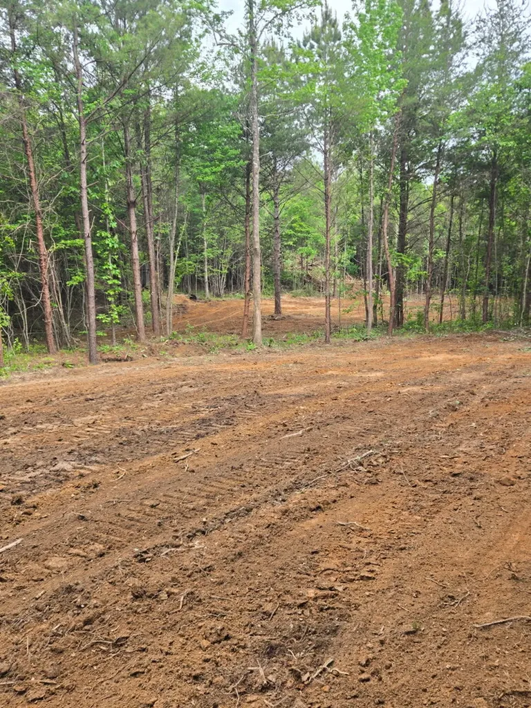 0 County Road 66 Eldridge AL 35554
