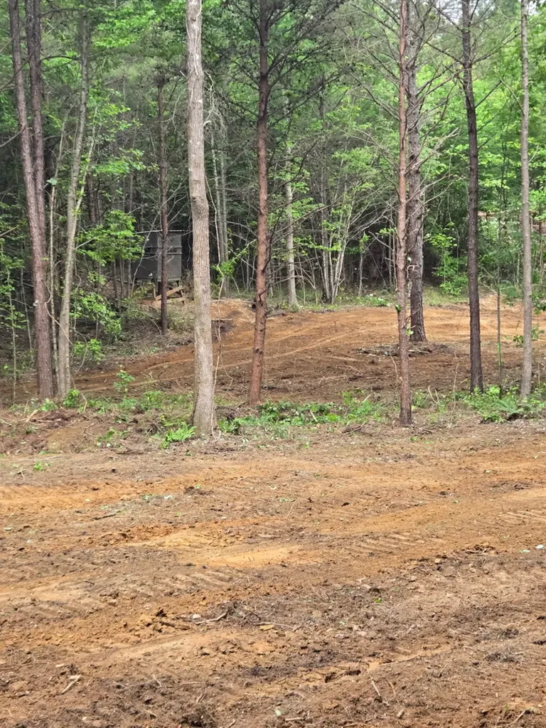 0 County Road 66 Eldridge AL 35554