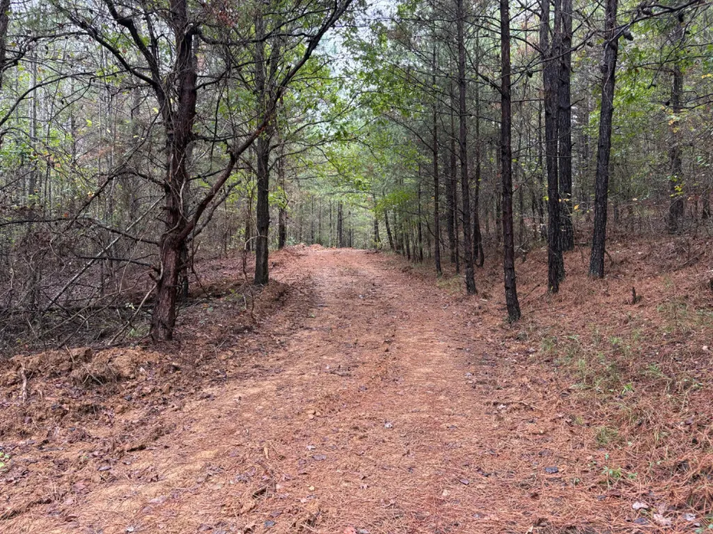 0 County Road 66 Eldridge AL 35554