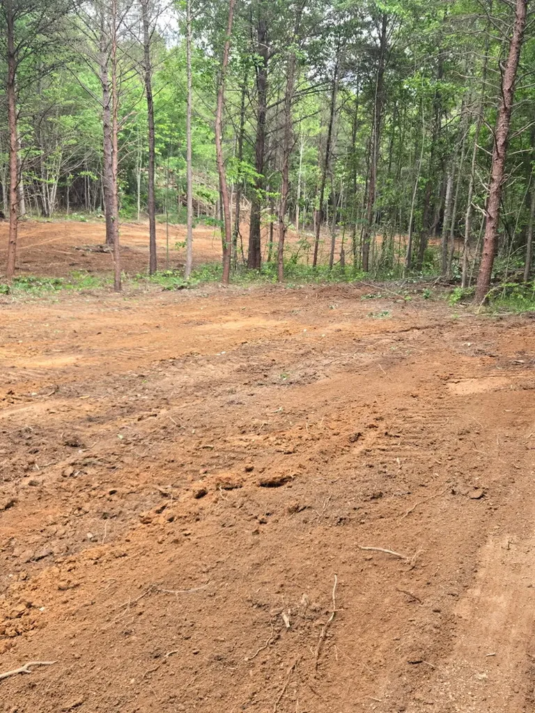 0 County Road 66 Eldridge AL 35554