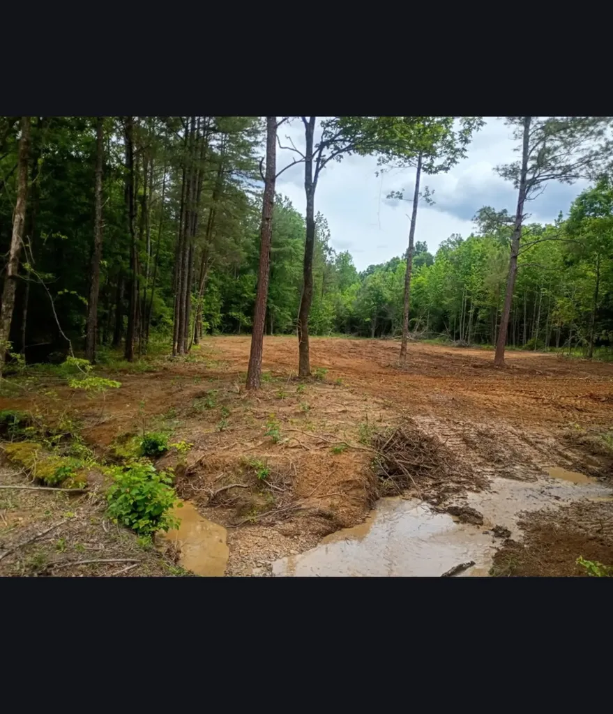 0 County Road 66 Eldridge AL 35554