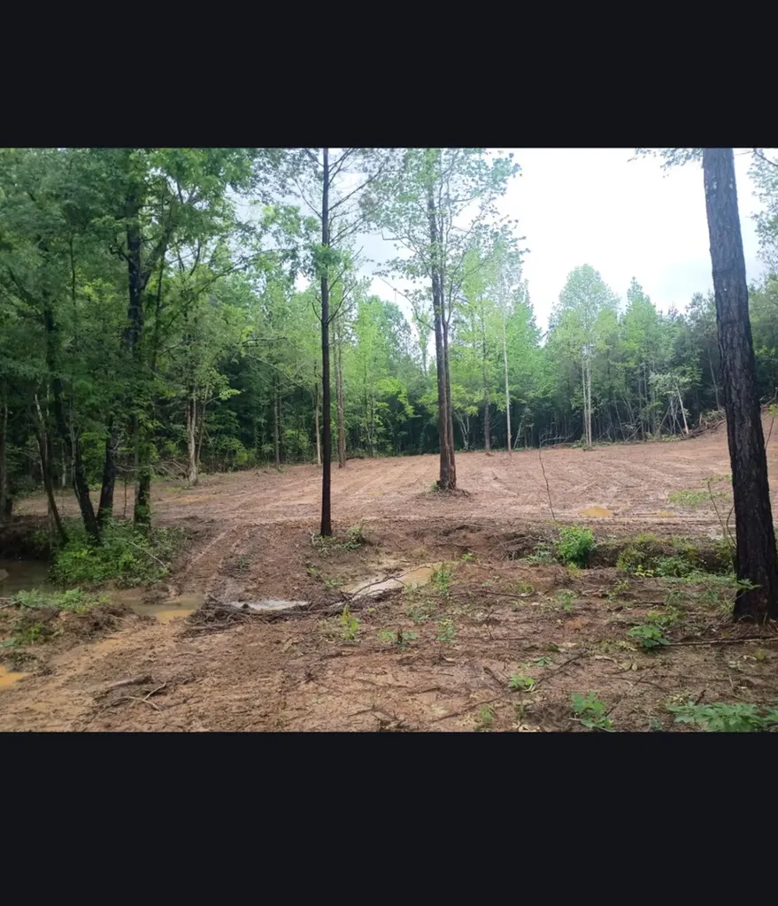 0 County Road 66 Eldridge AL 35554
