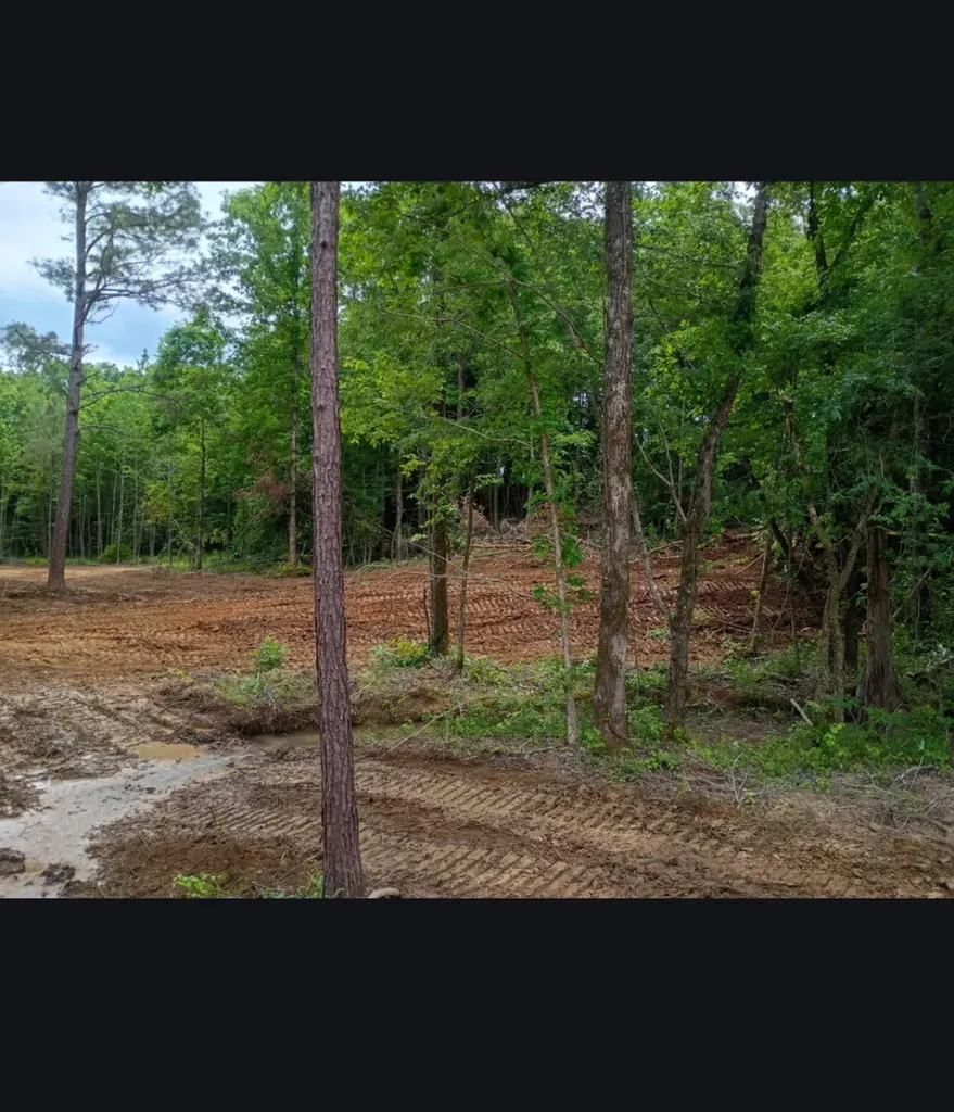 0 County Road 66 Eldridge AL 35554
